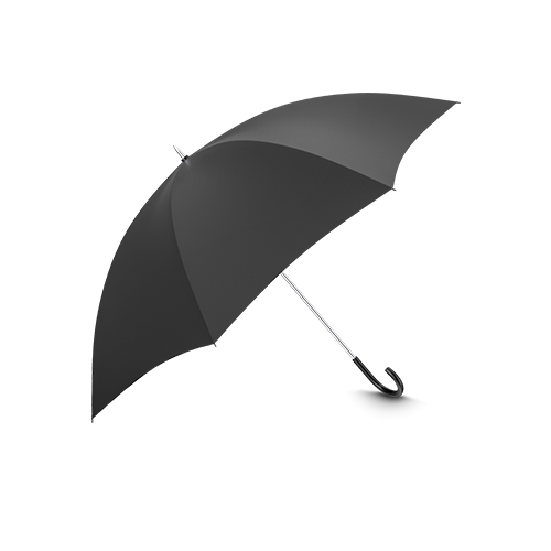 Michigan Umbrella Insurance Coverage